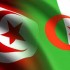 الحدود التونسية الجزائرية: نقل 10 وحدات قتالية من الجيش الجزائري