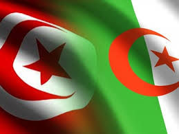 الحدود التونسية الجزائرية: نقل 10 وحدات قتالية من الجيش الجزائري