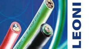 téléchargement (53)