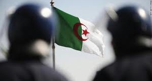 الجزائر: القضاء على 6 إرهابيين من تنظيم القاعدة