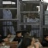 الأمم المتحدة: الحكم بإعدام 529 مصريا يعدّ خرقا للقانون الدولي