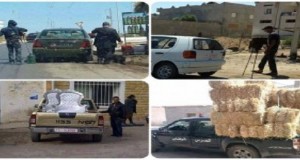 ناشطون يطلقون حملة ضد استغلال السيّارات الحكوميّة لأغراض شخصيّة