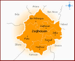 مكونات المجتمع المدني بزغوان تحتجّ على عدم مراجعة التعيينات