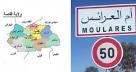 25 تونسيا معتصما بالتراب الجزائري يدخلون في إضراب جوع وحشي