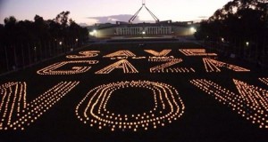 بالصور.. العالم يندّد بمجازر الكيان الصهيوني في غزّة