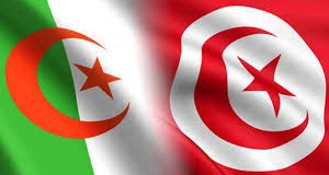 طائرات حربية وصواريخ أرض جو من الجزائر لدعم الجيش التونسي