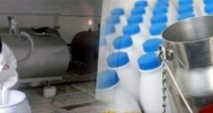 إقرار الزيادة في سعر الحليب