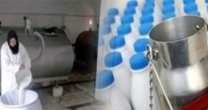 أكتوبر القادم: الزيادة في أسعار الحليب على مستوى الانتاج والتصنيع