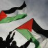 البرلمان الإيرلندي يحثّ على الاعتراف بدولة فلسطين