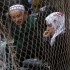 مصر: توسع المنطقة العازلة مع قطاع غزة إلى 1000 متر