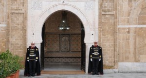 حكومة الحبيب الصيد: الهيكلة