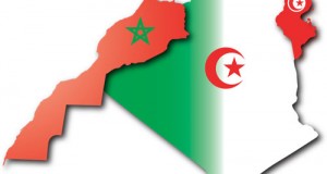 هذا ترتيب تونس والجزائر والمغرب ضمن البلدان الفاشلة