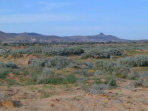 12400_361309343973437_1748863866_n