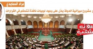 مراد الحمايدي: تغيير مشروع ميزانية الدولة يدلّ على وجود لوبيات نافذة تتحكّم في القرارات