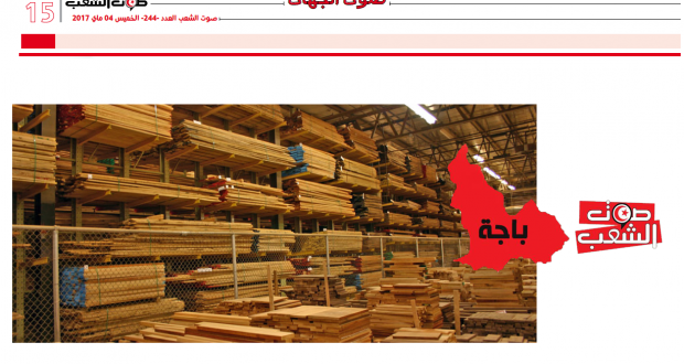 باجة// عمال “شركة الواد الجديد للنّجارة والخشب” في اعتصام مفتوح