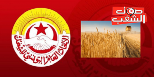 668_334_1455740469D-1