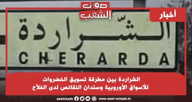 الشراردة بين مطرقة تسويق الخضروات للأسواق الأوروبية وسندان النقائص لدى الفلاّح