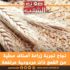 القيروان: نجاح تجربة زراعة أصناف محلّية من القمح ذات مردودية مرتفعة
