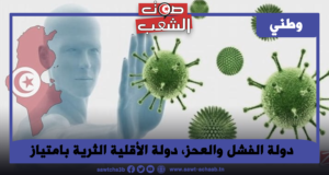 دولة الفشل والعحز، دولة الأقلية الثرية بامتياز