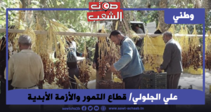 قطاع التمور والأزمة الأبدية.