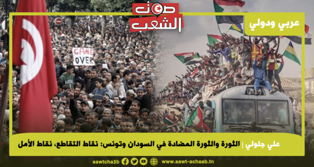 الثورة والثورة المضادة في السودان وتونس: نقاط التقاطع، نقاط الأمل