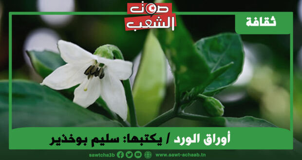 *أوراق الورد