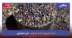 أزمة الزيتون أزمة خيارات
