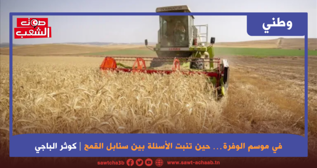 في موسم الوفرة… حين تنبت الأسئلة بين سنابل القمح
