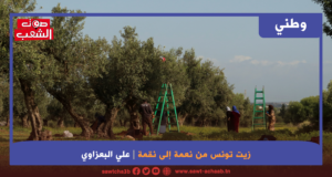 زيت تونس من نعمة إلى نقمة (1)