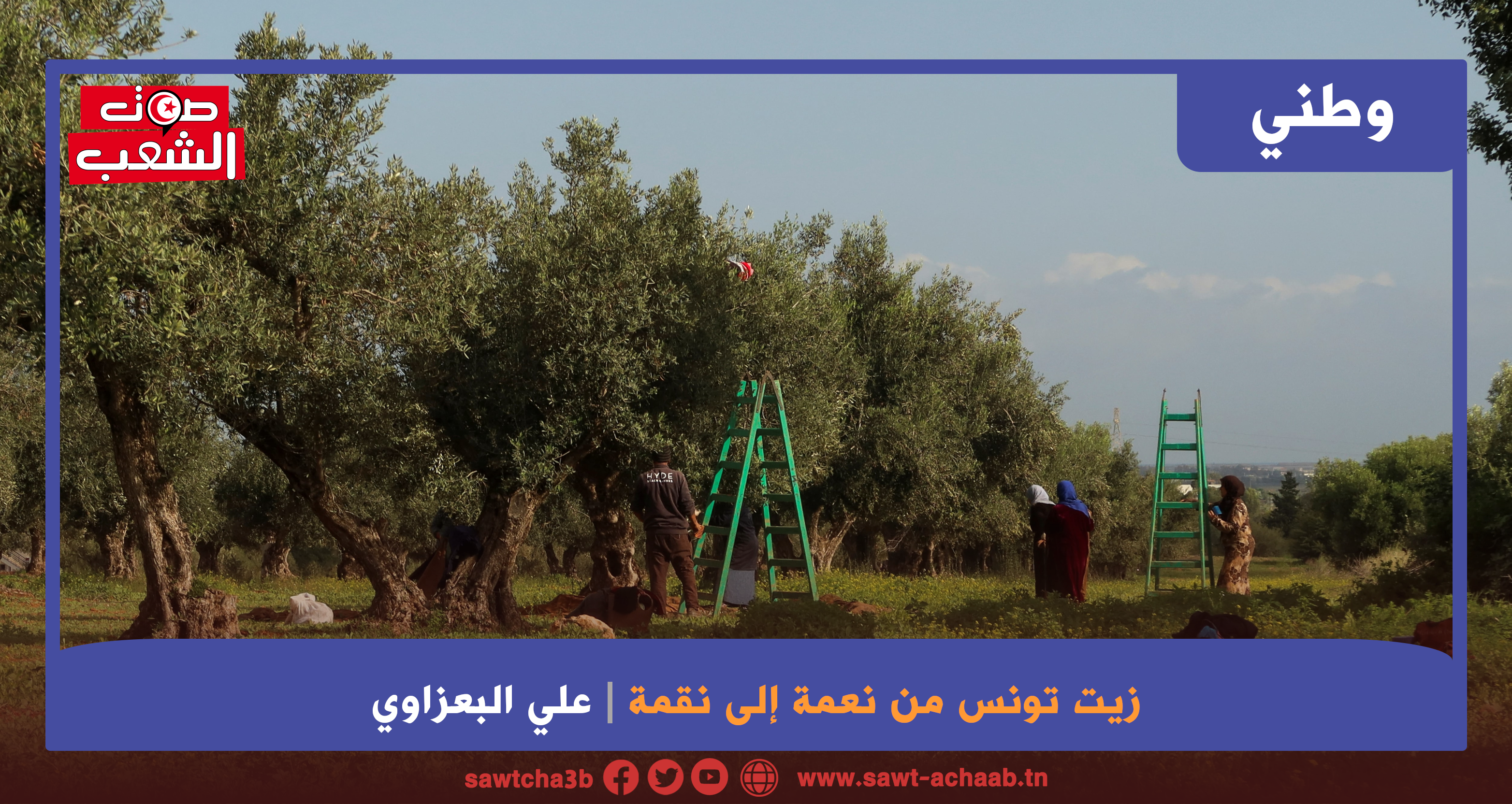 زيت تونس من نعمة إلى نقمة (1)