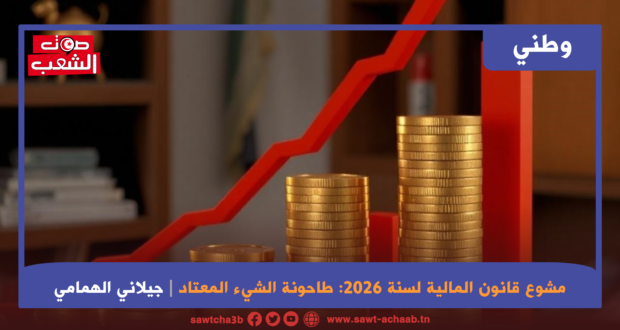 مشوع قانون المالية لسنة 2026 طاحونة الشيء المعتاد (1)