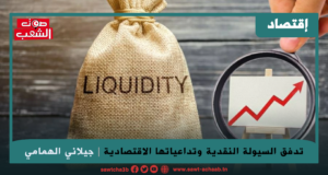 تدفق السيولة النقدية وتداعياتها الاقتصادية