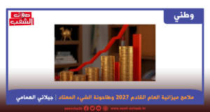 ملامح ميزانية العام القادم 2027 وطاحونة الشيء المعتاد