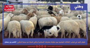 علوش العيد في تونس: العائلات التونسية بين مطرقة مضاربات السماسرة وتخلي الدولة عن دورها الرقابي