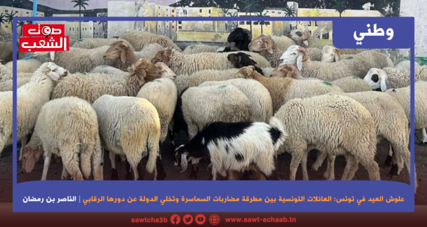 علوش العيد في تونس: العائلات التونسية بين مطرقة مضاربات السماسرة وتخلي الدولة عن دورها الرقابي