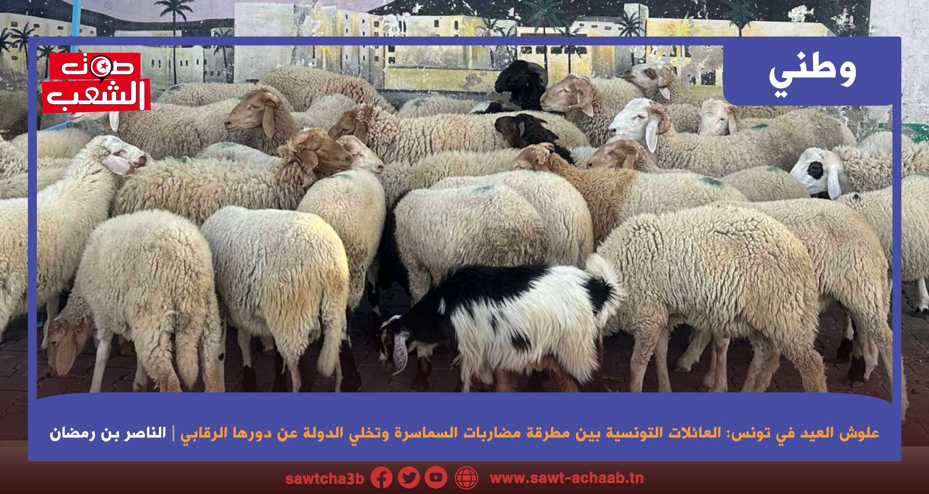علوش العيد في تونس: العائلات التونسية بين مطرقة مضاربات السماسرة وتخلي الدولة عن دورها الرقابي