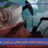 الحرب على إيران تعمّق اختلالات الأمن الطاقي في تونس