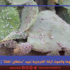 بين الموت جوعا والموت أرقا: القرمزية تبيد “سلطان الغلة”