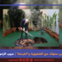 خمس سنوات من الشعبوية و”الفرعنة”