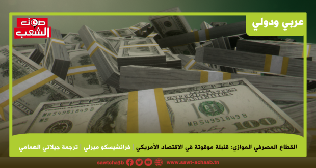 القطاع المصرفي الموازي: قنبلة موقوتة في الاقتصاد الأمريكي
