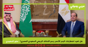هل تعيد اضطرابات البحر الأحمر رسم التحالف الرجعي السعودي المصري؟