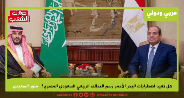 هل تعيد اضطرابات البحر الأحمر رسم التحالف الرجعي السعودي المصري؟