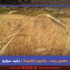 مطمور روما… والجوع للكروما!